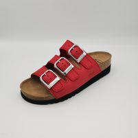 SCHOLL